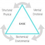 Kinesiology Triangle of Health