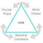 Kinesiology Triangle of Health