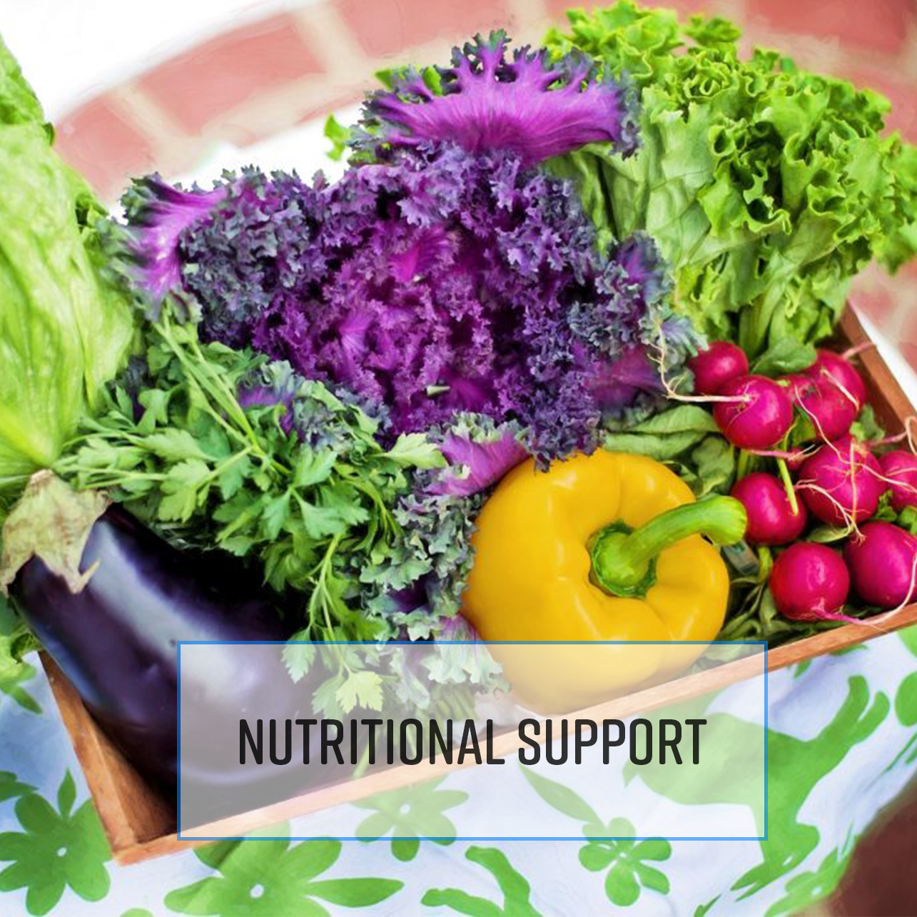 Kinesiology for Nutritional Support Kinesiology for Nutritional Support
