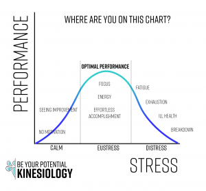 Performance vs Stress chart