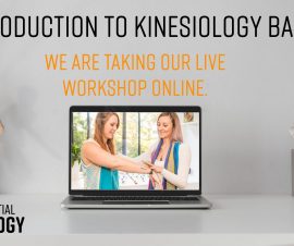 Introduction to Kinesiology Basics