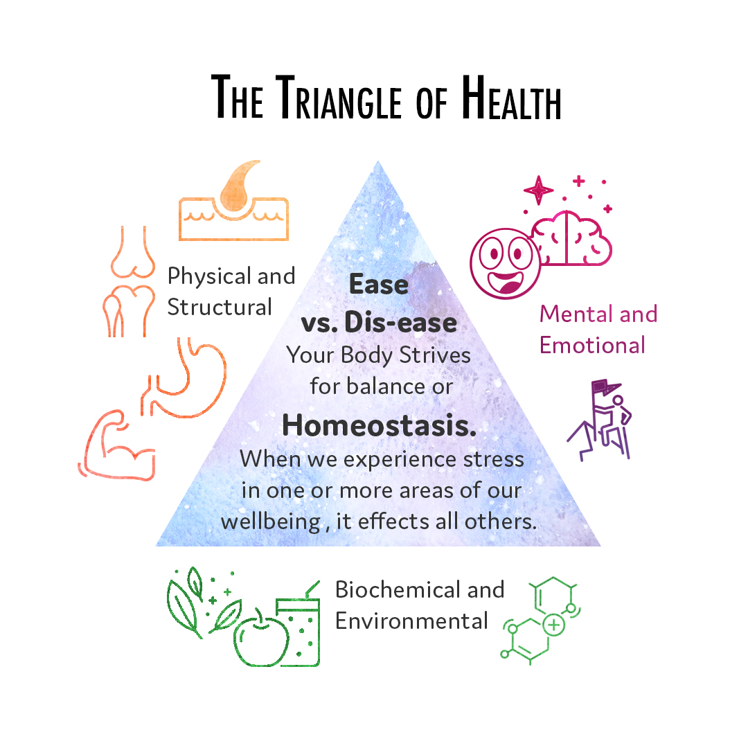 Triangle of health, Mind-body connection.