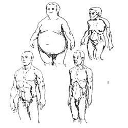 Emotional Anatomy