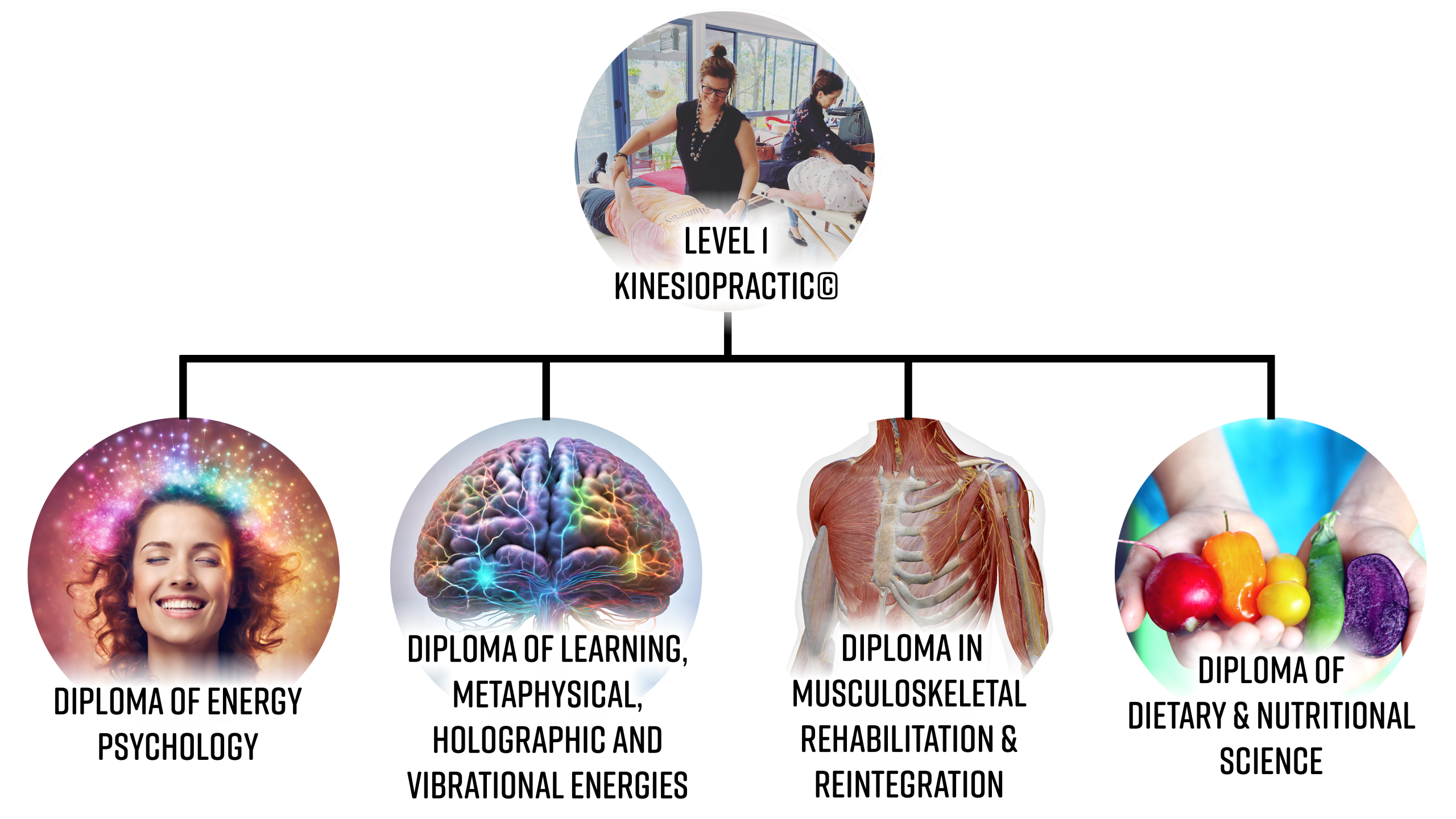Kinesiopractic Pathways Picture Kinesiopractic Pathways